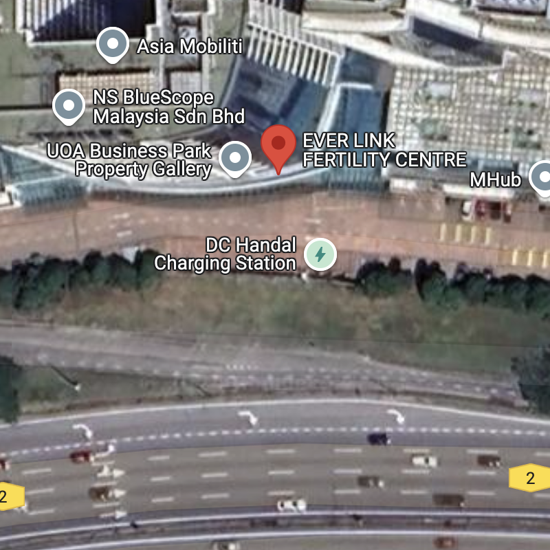 Ever Link Fertility Center map position